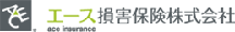 �G�[�X�ی������N